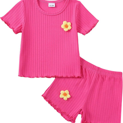 Toddler Baby Girl Summer Clothes Toddler Girls Summer Outfits Short Sleeve T-Shirts Shorts Clothing Set 6M-3Y