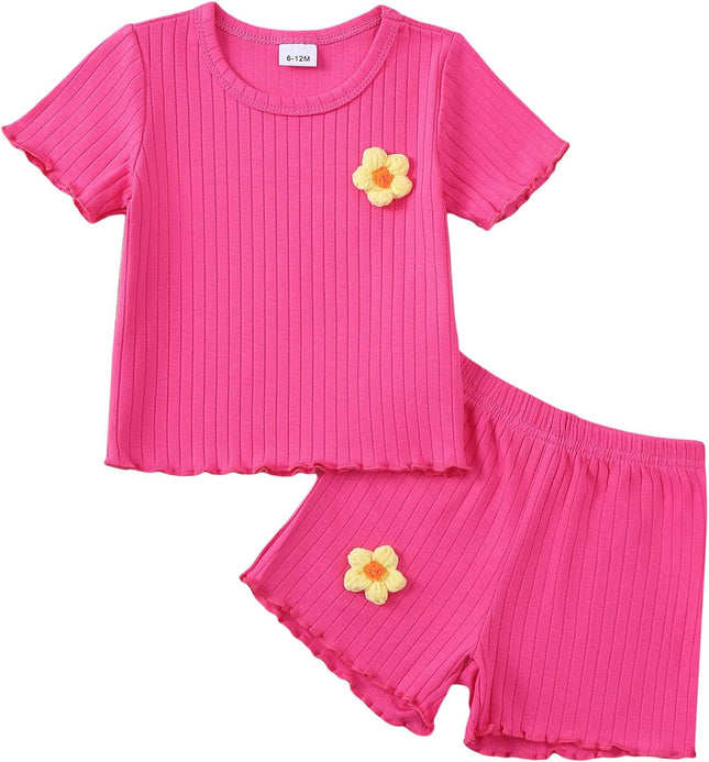 Toddler Baby Girl Summer Clothes Toddler Girls Summer Outfits Short Sleeve T-Shirts Shorts Clothing Set 6M-3Y