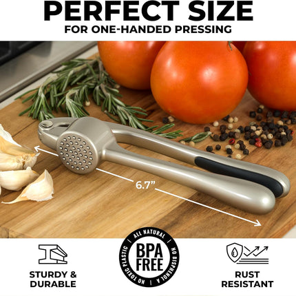 Premium Garlic Press Set - Rust Proof Professional Garlic Mincer Tool - Easy-Squeeze, Easy-Clean with Soft, Ergonomic Handle - Silicone Garlic Peeler & Brush (Silver)