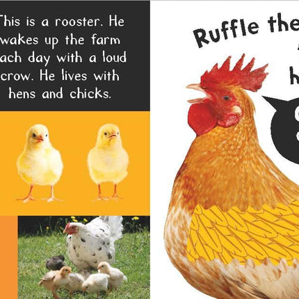 Noisy Farm: Includes 6 Sounds and an On/Off Switch on the Back Cover! (My First)