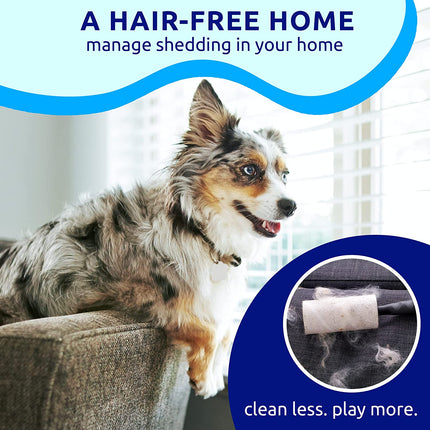 Deshedding Dog Brush for Shedding – Cat Brushes for Indoor Cats, Double-Sided Cat Brush Deshedding & Grooming Tool for Long Haired and Short Haired Dogs, Skin-Friendly