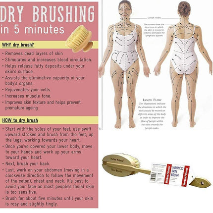 Tampico Skin Brush (Pack of 1) - Natural Vegetable Fiber Bristles for Dry Skin Brushing