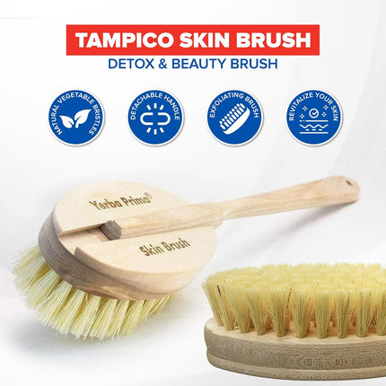 Tampico Skin Brush (Pack of 1) - Natural Vegetable Fiber Bristles for Dry Skin Brushing