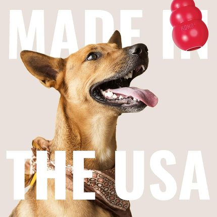 Flyer - Durable Dog Toy for Outdoor Playtime - Natural Rubber Flying Disc, Dog Toy for Fetch - Safer Disc for Healthy Activity - for Medium/Large Dogs