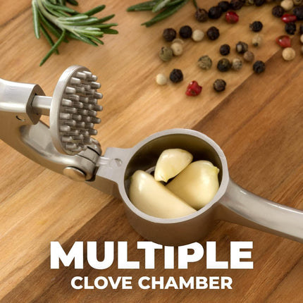 Premium Garlic Press Set - Rust Proof Professional Garlic Mincer Tool - Easy-Squeeze, Easy-Clean with Soft, Ergonomic Handle - Silicone Garlic Peeler & Brush (Silver)