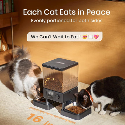 Automatic Cat Feeder for 2 Cats, 20 Cups/5L Automatic Cat Food Dispenser for Small Pets Indoor, Timed Cat Feeder for Dry Food
