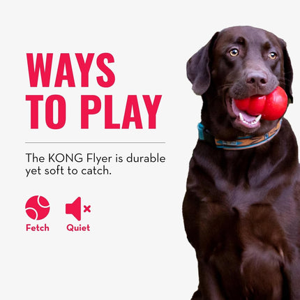 Flyer - Durable Dog Toy for Outdoor Playtime - Natural Rubber Flying Disc, Dog Toy for Fetch - Safer Disc for Healthy Activity - for Medium/Large Dogs