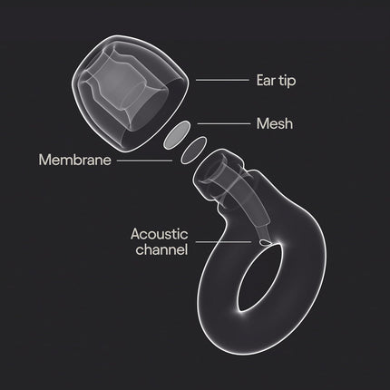 Loop Experience 2 Ear Plugs, Stylish High-Fidelity Hearing Protection with 17dB SNR Noise Reduction, Reusable Earplugs for Concerts, Festivals, Live Events, Musicians, DJs, Sports & Nightlife