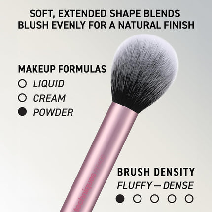 6 Piece Everyday Essentials Makeup Brush Set, Includes 4 Brushes & 2 Makeup Sponges for Foundation, Blush, Bronzer, Contour, Eyeshadow & Powder, Travel Gift Set, Cruelty-Free & Vegan