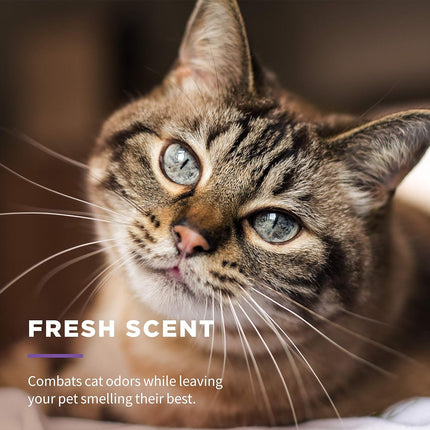 for Pets Freshening Multipurpose Cat Wipes with Aloe Vera, Fresh Scent - Easy to Use Cat Freshening and Grooming Wipes with Wet Lock Seal, 100 Count - 12 Pack