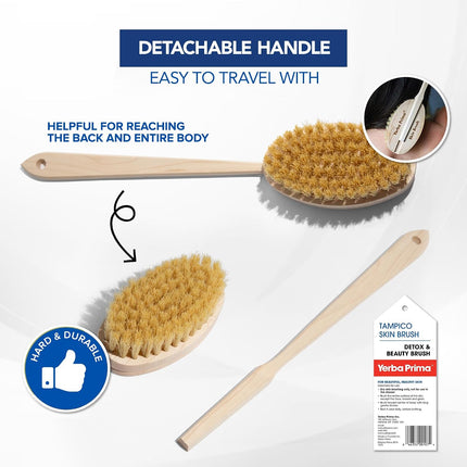 Tampico Skin Brush (Pack of 1) - Natural Vegetable Fiber Bristles for Dry Skin Brushing