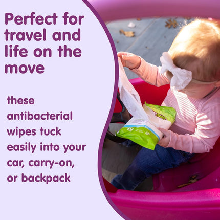Antibacterial Hand Wipes - 100 Count - Hypoallergenic & Alcohol-Free - Travel and Diaper Bag Essential