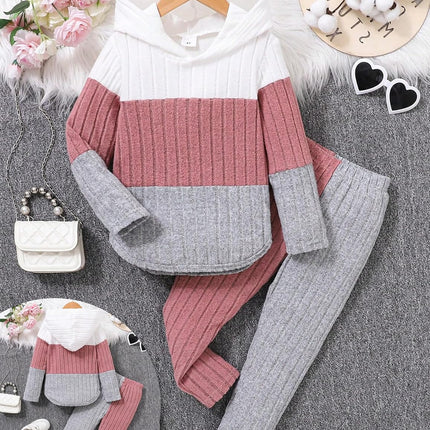 Girls Clothes Fall Girl Outfits 2Pcs Hoodie Pullover Sweatshirt+Pant+Leggings Winter Set for Size 4-8 Years Little Girls