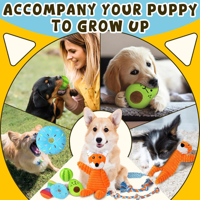 Ultimate 9-Pack Luxury Puppy Chew Toy Set - Squeaky Toys, Balls & Ropes for Teething Small Dogs