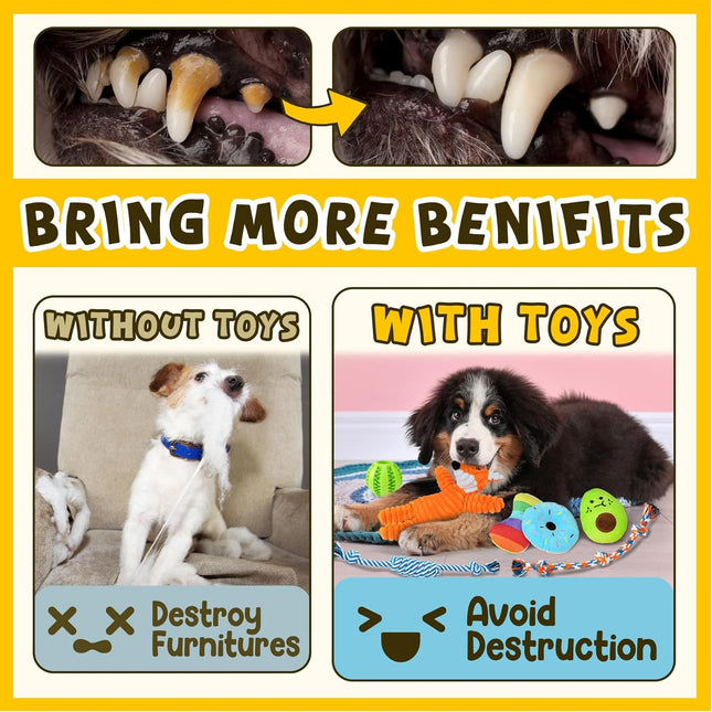 Ultimate 9-Pack Luxury Puppy Chew Toy Set - Squeaky Toys, Balls & Ropes for Teething Small Dogs