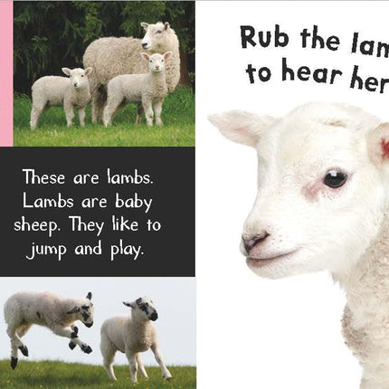 Noisy Farm: Includes 6 Sounds and an On/Off Switch on the Back Cover! (My First)