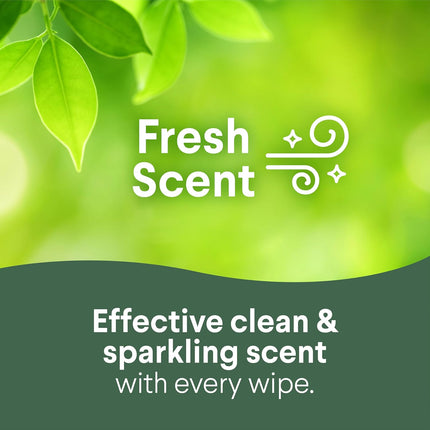 Disinfecting Cleaning Wipes Variety Pack, 75 Count Each, Pack of 2 (Package May Vary)