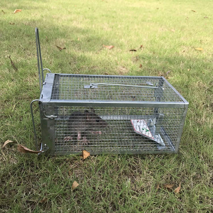 Kensizer Humane Live Animal Cage Trap – Medium, 12 x 6.5 x 5 Inches