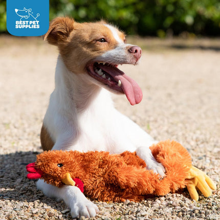 Interactive Squeaky Dog Chew Toy, Ideal Dog Toys for Chewers, Small, Medium & Large Dogs, and Fetch Lovers - Crinkle Chicken (Brown), Large
