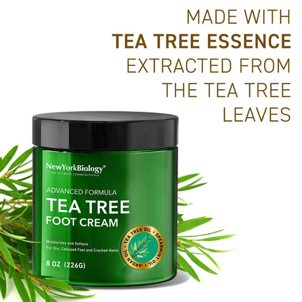 New York Biology Tea Tree Oil Foot Cream for Dry Feet and Rough Heels - Moisturizing Foot Cream - 8 Oz