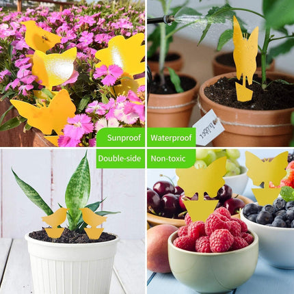 64 Pcs Sticky Traps for Gnat, Yellow Sticky Fruit Fly Traps for Indoors Plants, Indoor Safe for Gnat, Fruit Fly, White Fly, Aphid, Leaf Miner