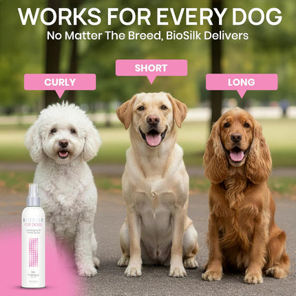 for Dogs Silk Therapy Detangling and Shine Protecting Spray, Ph Balanced Leave-In Mist with Silk and Vitamins for Dematting, Paraben-Free, All Coats and Breeds, 8 Fl Oz