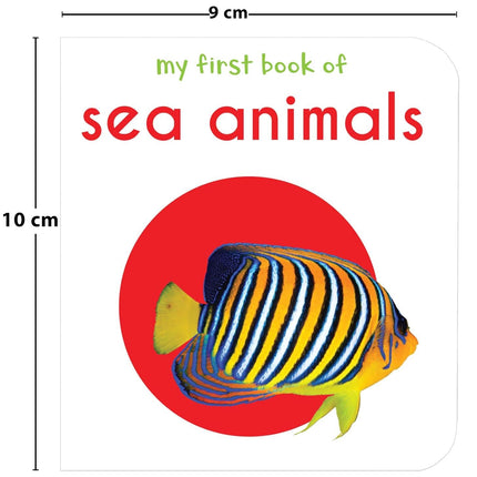 My First Library: Boxset of 10 Board Books for Kids