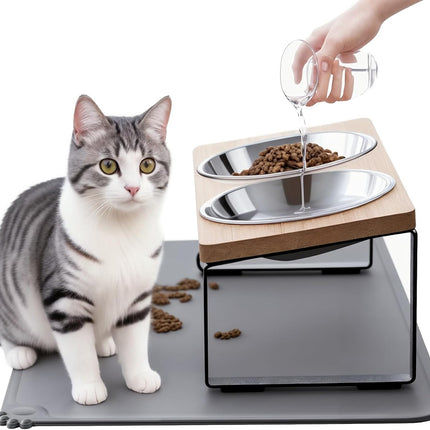 Upgraded Elevated Cat Bowls with Food Mat,15°Tilted Stand anti Vomiting Raised Cat Dishes for Food and Water,2 Stainless Steel Bowls for Cats and Puppy