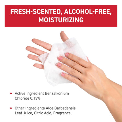 Wipeessentials Hand Sanitizer Wipes for Adults & Kids - 90 Count, 3 Packs | Alcohol-Free, Moisturizing Sanitizing Wipes with Aloe Vera & Vitamin E - Unscented & Travel Size with No Soapy Residue