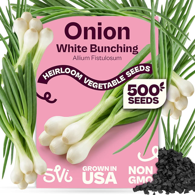 500 Bunching White Onion Seeds for Planting (Allium Fistulosum) – Green Onion Seed Packets, Bunching Scallions Seed, Cebolla – Heirloom Vegetable Seeds for Planting Outdoors Home Garden Containers