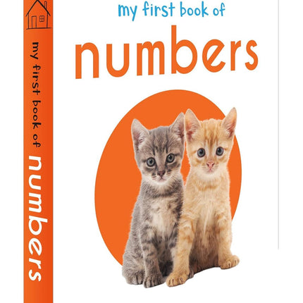 My First Library: Boxset of 10 Board Books for Kids