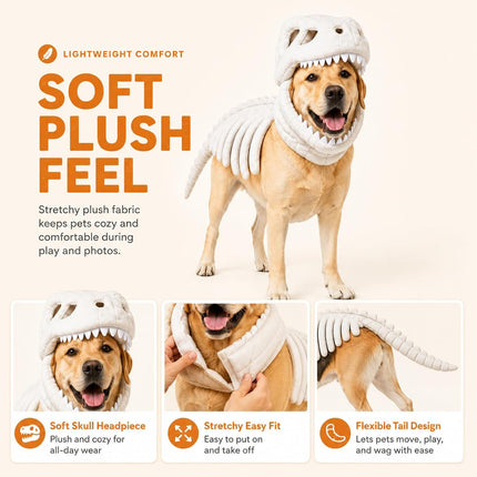 Dog Dinosaur Skeleton Costume, Pet Halloween Party Costumes (Grey | 34In)