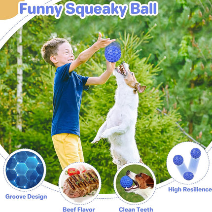 Indestructible Squeaky Dog Ball, Relieves Anxiety, Cleans Teeth, Interactive Chew Toy for Aggressive Chewers, Dog Toy for Large Breeds, Outdoor Waterproof