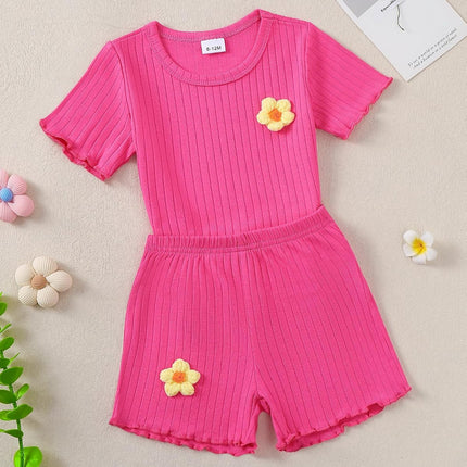Toddler Baby Girl Summer Clothes Toddler Girls Summer Outfits Short Sleeve T-Shirts Shorts Clothing Set 6M-3Y
