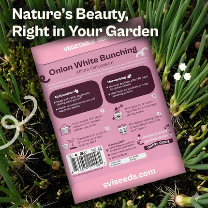 500 Bunching White Onion Seeds for Planting (Allium Fistulosum) – Green Onion Seed Packets, Bunching Scallions Seed, Cebolla – Heirloom Vegetable Seeds for Planting Outdoors Home Garden Containers
