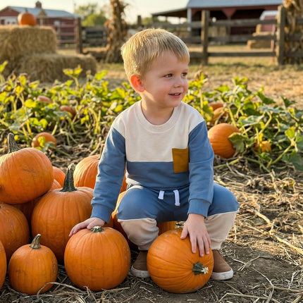 Toddler Baby Boy Fall Winter Clothes Color Block Long Sleeve Sweatshirt Pullover Tops + Joggers Pants Outfit Set
