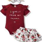 0-3 Months / Maroon